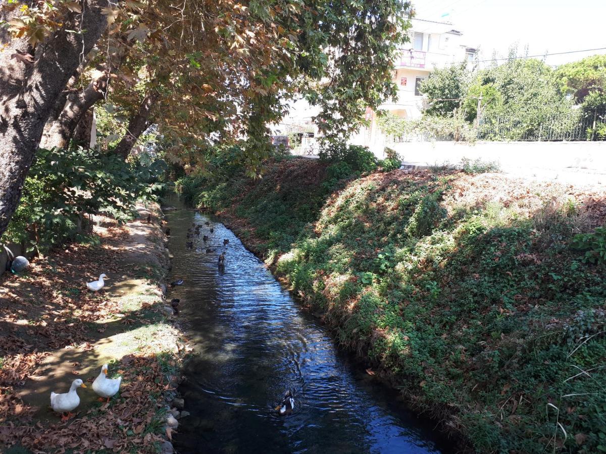 Samos Apart Pension Guzelcamlı Zewnętrze zdjęcie