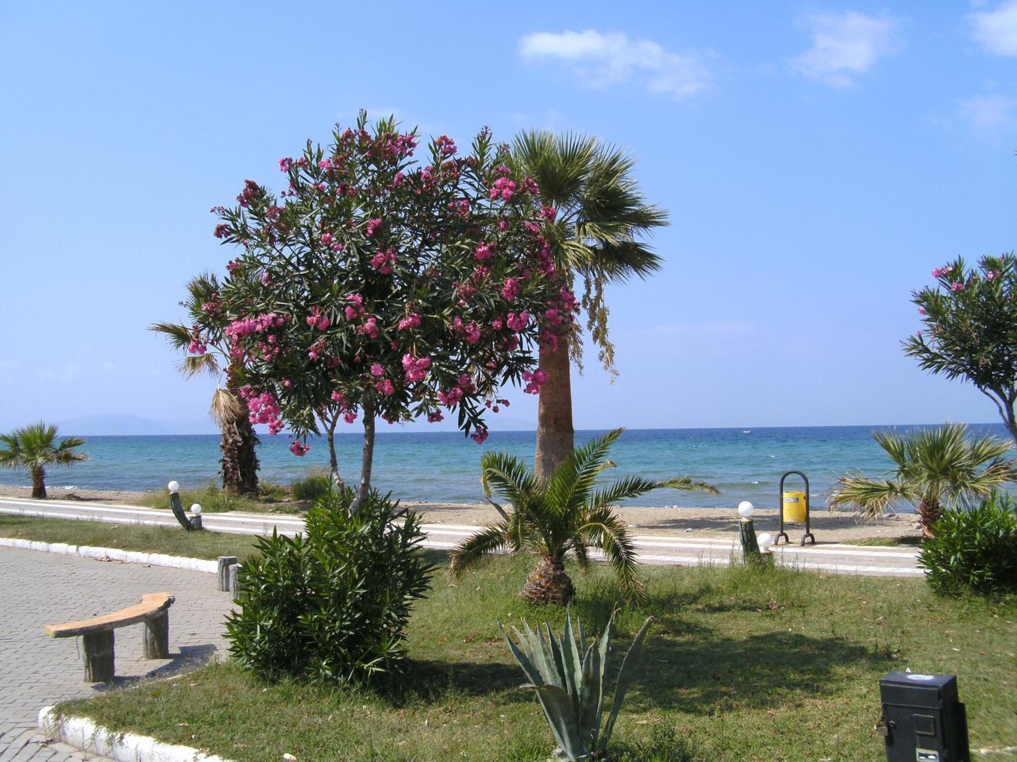 Samos Apart Pension Guzelcamlı Zewnętrze zdjęcie