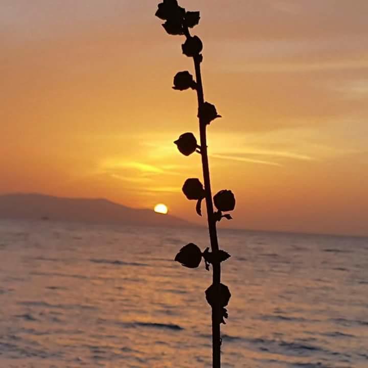 Samos Apart Pension Guzelcamlı Zewnętrze zdjęcie
